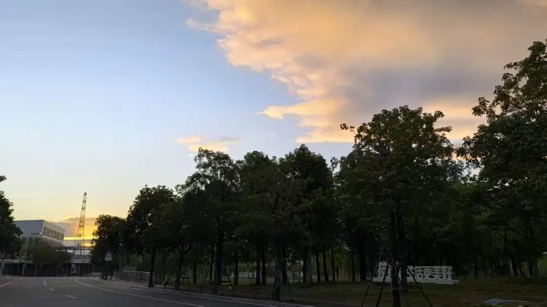 微信图片_20260313183611_324_421.jpg